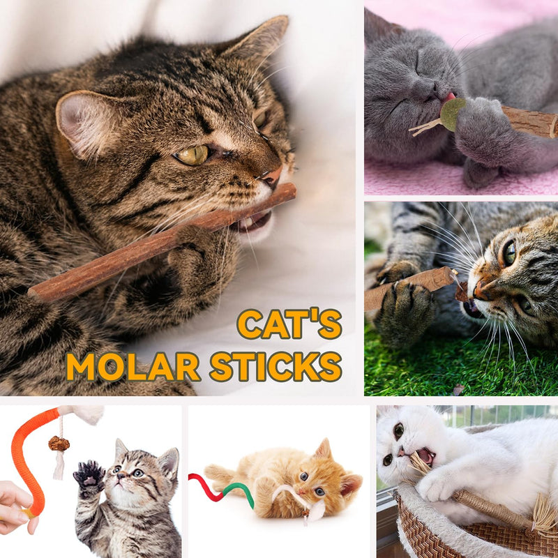 Cat Toys Cat Chew Toys, Silvervine Sticks Catnip Rope Toys for Cats Teeth Cleaning, Kitten Dental Care, Kitty Toys for Indoor Cats Increase Appetite,Enhances Oral & Dental Health (21 Pack) 21 Pack - BeesActive Australia