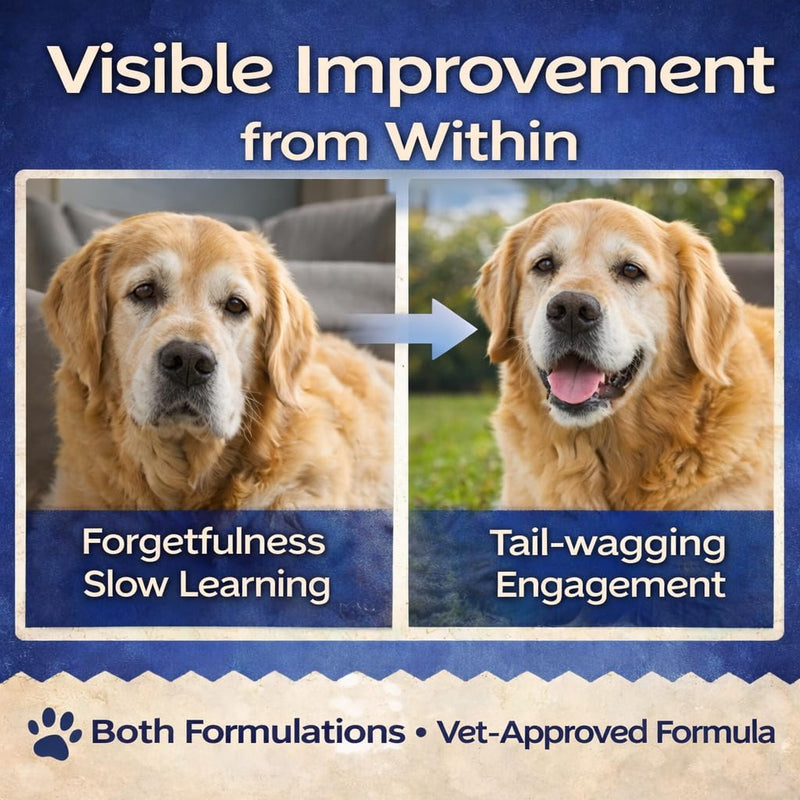 Mind & Cognitive Chews for Senior Dog | Brain Function, Memory & Alertness Support | Dog Supplements with Lion's Mane, DHA & Phosphatidylserine | 120 Chicken Flavour Chews