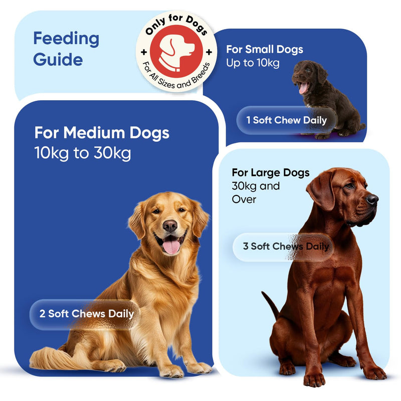 animigo Multivitamins and Minerals for Dogs - 120 Soft Chews - With 18 Vitamins & Minerals - Easy to Chew & Gentle Formulation - Suitable For All Breeds - Lactose-Free & Soy-Free