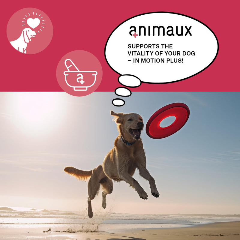 Animaux In Motion Plus – 90 Tablets – Hip & Joint Mobility Supplement for Dogs, maintains Bones and Cartilage with MSM, Glucosamine, Chondroitin and Green Lipped Mussel