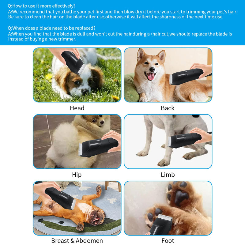 3 Pack 10# Detachable Pet Dog Grooming Ceramic Blades,Compatible with Andis,Oster A5,Wahl KM-10 Series,Size #10 Blade 1/16-Inch 1.5MM Cut Length 3pc 10:1/16''(1.5mm) - BeesActive Australia