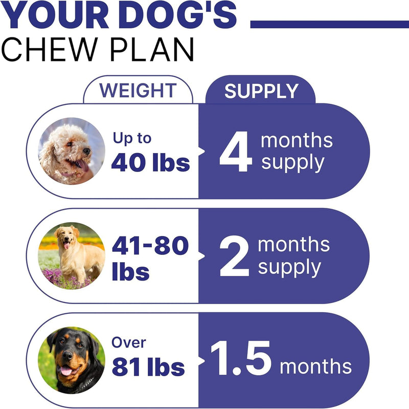 Probiotic, Enzyme, Prebiotic, Dog Chews for Digestive Support - Helps with Stool Consistency, Gas, Constipation, Diarrhea - 100 Chews (Pack of 1) - Classic Beef - BeesActive Australia