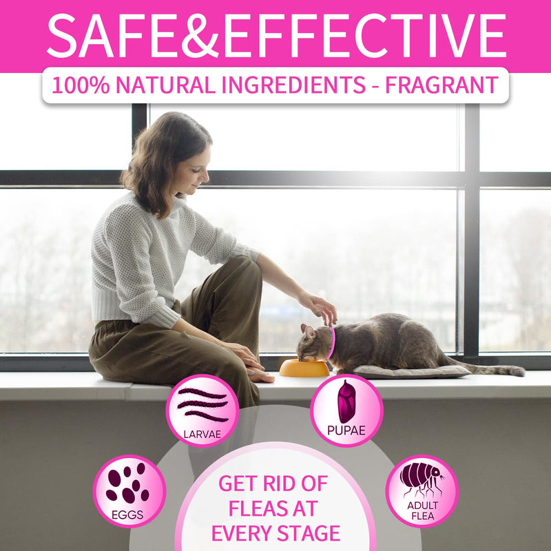 4 Pack Flea Collar for Cats, Cat Flea and Tick Collar 8 Months Cat Flea and Tick Treatment Prevention, Waterproof Adjustable Cat Kitten Flea Collar, Natural Anti Tick and Flea Collar for Cat, Pink - BeesActive Australia