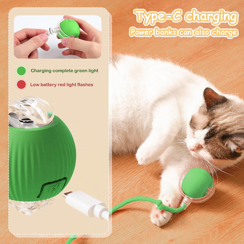 Interactive Rolling Pet Ball, Upgraded Electric Rolling Cat Toys Ball Self Moving Dog Toy, 360° Automatic Rolling Ball Toy Electric Pet Balls for Cats Dogs (Green) Green - BeesActive Australia