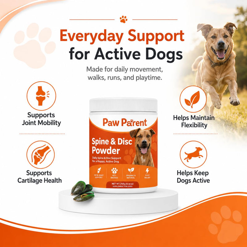 Green Lipped Mussel, Paw Parent Spine and Disc Powder, Secret Powder, Joint Mobility & Flexibility for Dogs Mobility, Improve Dog Cartilage & Bone Health (1 pcs) 1 pcs