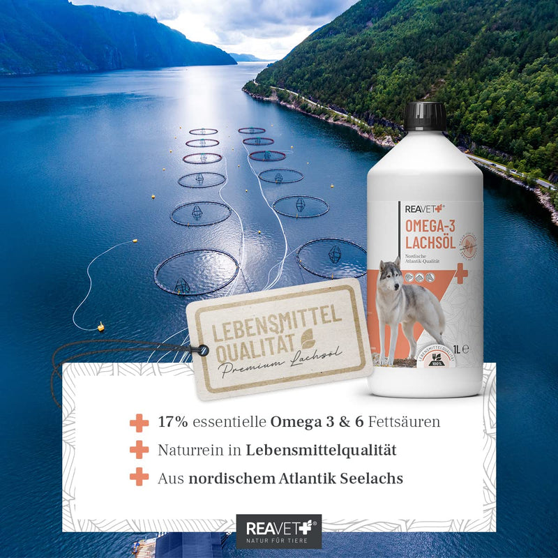 ReaVET TEST VERDICT VERY GOOD 02/24 Salmon oil for dogs, cats 500ml - Rich in Omega 3 & 6, fish oil for dogs in high doses I Real food quality without additives I Freshly bottled in Germany 500 ml - BeesActive Australia
