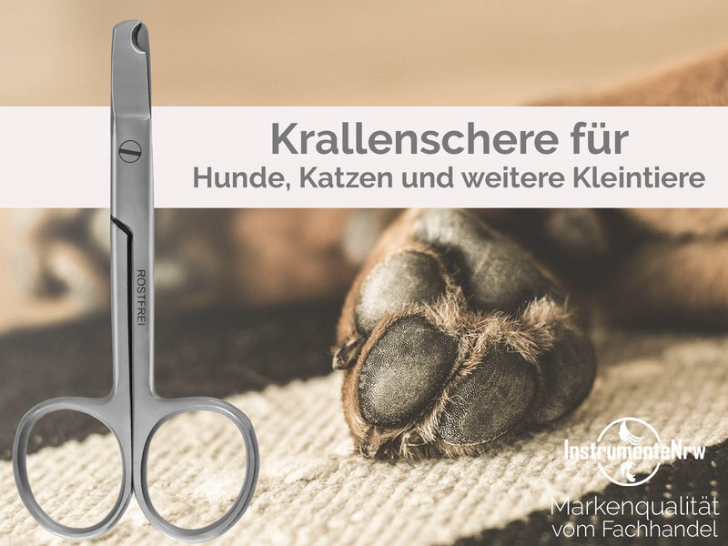 Claw scissors Straight claw pliers Ideal for beginners Claw cutter 9.5 cm - Nail scissors - Shortening claws on cats, small dogs or small animals - Stainless steel - Brand quality - BeesActive Australia