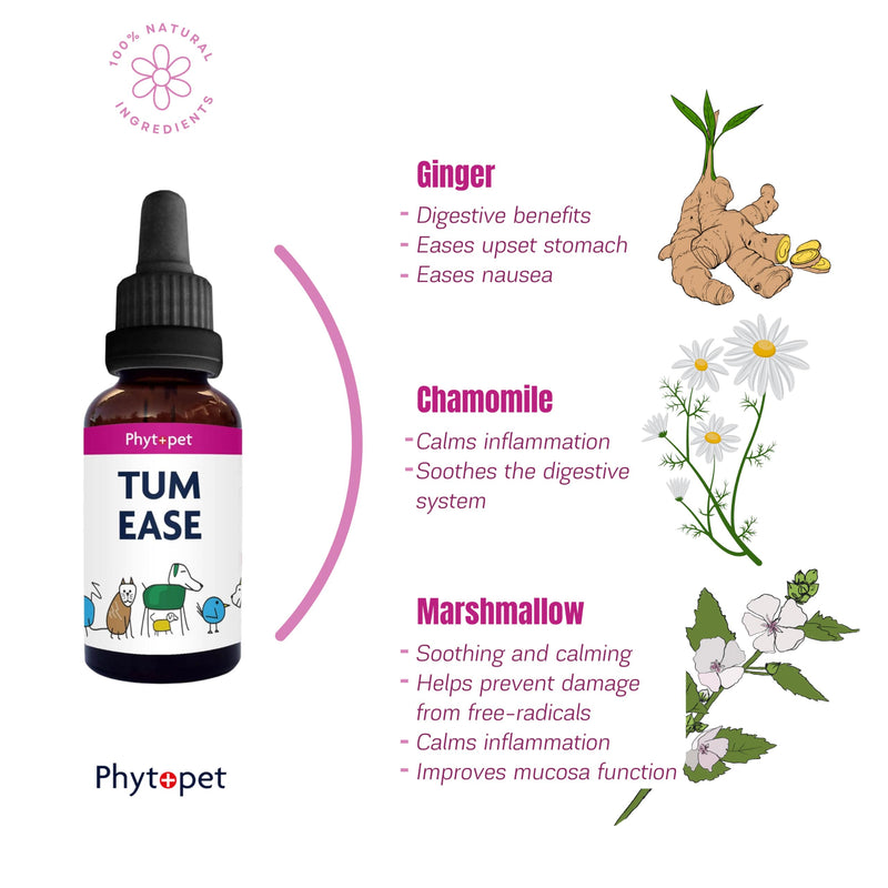 Phytopet Tum Ease | 30ml | 100% Natural Herbal Remedy | Aids Windy Digestion, Ideal When Changing Diet | for Dogs, Cats, Birds, Horses, Pets |