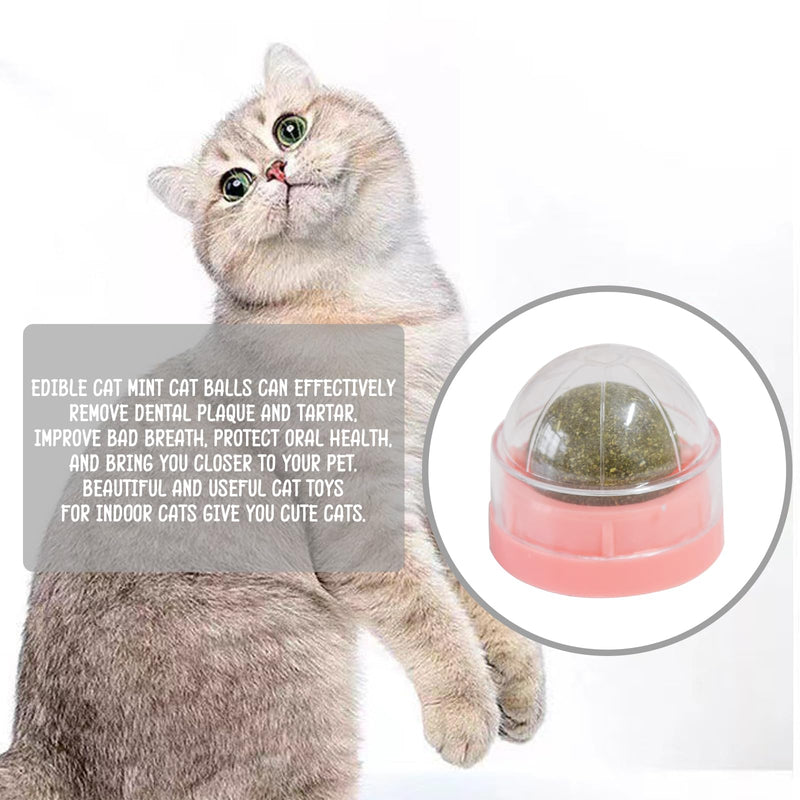 Pink Catnip Balls for Cats - 3PCS Wall Catnip Toys Edible Cat Toys for Cat Lick Safe Healthy Kitten Chew Toys Teeth Cleaning Dental Cat Toys - BeesActive Australia