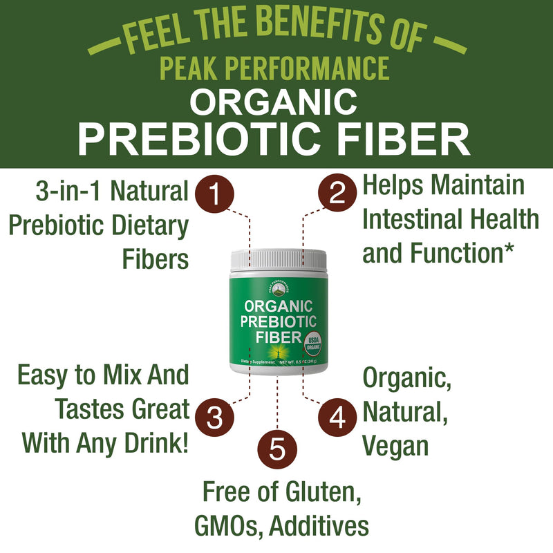 USDA Organic Prebiotic Fiber 3-in-1 Vegan Powder for Gut Health | Raw Whole Food Plant Based Prebiotics Digestive Supplement with Inulin (Jerusalem Artichoke), Acacia Fibers, SunFiber (240g)