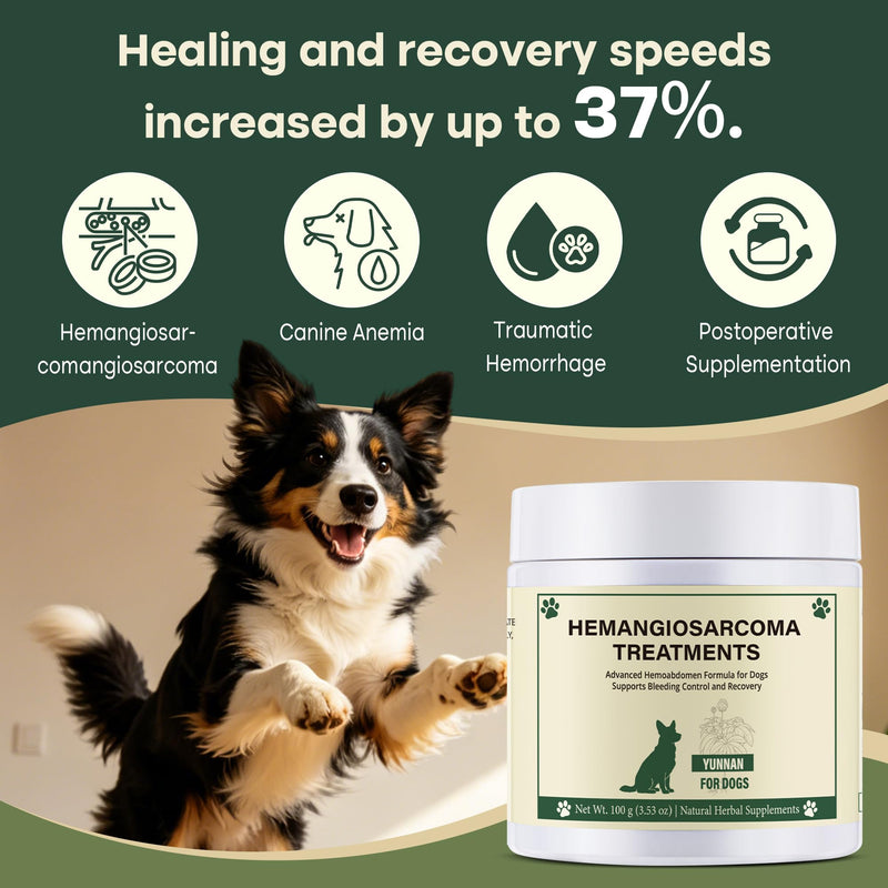 Quick Stop Bleeding for Dogs, Yunnan Sanqi Hemostatic Powder for Dogs Natural Herbal for Ulcer-Related Bleeding, Bloody Stools, Hemangiosarcoma, Pericardial Effusion, Hemoabdomen, Cancer Bleeding 100g