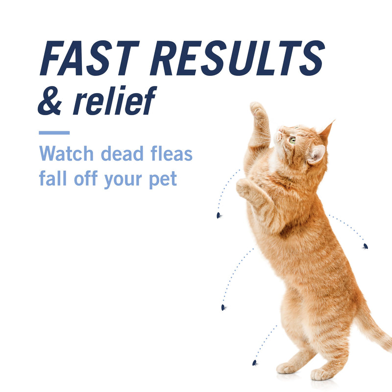 PetArmor Plus Cat, 6ct + PetArmor CapAction Cat, 6ct Treat and Prevent Bundle – Fast Acting and Long Lasting Flea and Tick Care