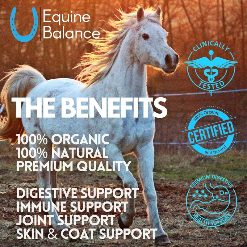 Premium Daily Supplement for Horses | Organic Advanced Bio-Nano Technology to Support Digestive Health | Improves Stamina | Immunity and Joint Support | 30 Day Supply | 5 oz - BeesActive Australia