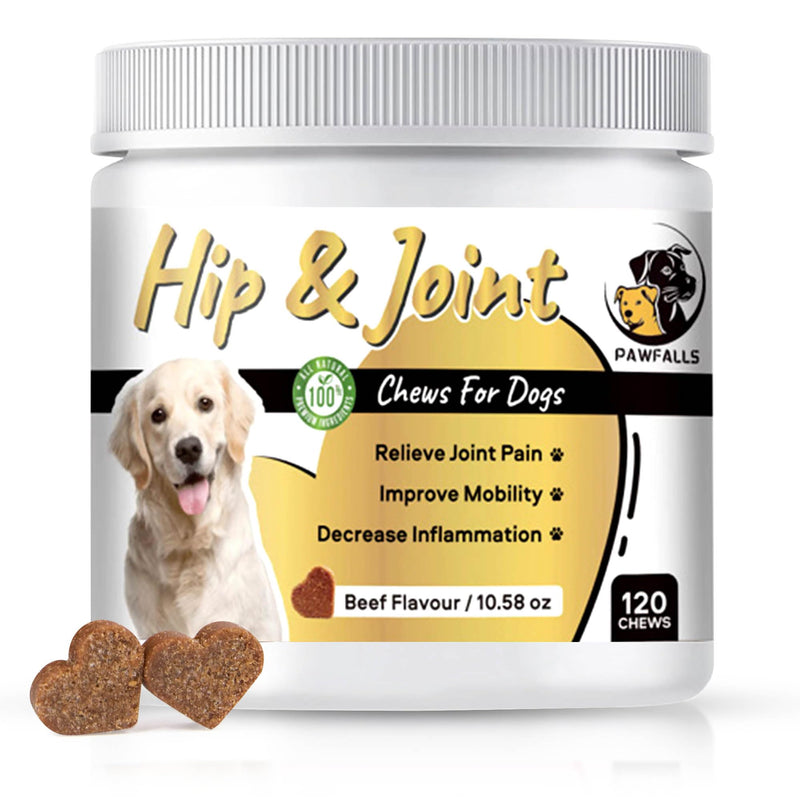 HIP and Joint Chews – Dog Joint Supplement with Glucosamine, Chondroitin & MSM – Supports Cartilage, Hip & Joint Health – Soft Chews for Senior & Adult Dogs – 120 Chews, Natural Beef Flavor