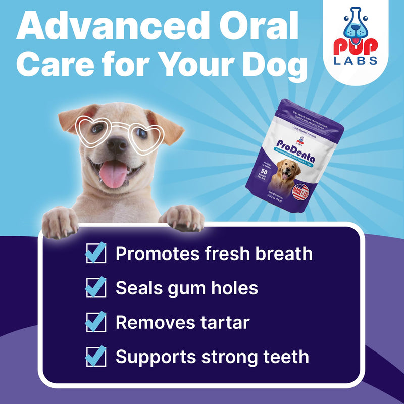 All-Natural and Expert-Formulated Dental Powder for Dogs, Dog Dental Supplement for Healthy Teeth and Against Leaky Gums for Dogs 12+ Weeks, Made in The USA with The Standards, 28 Serv - PawsPlanet Australia