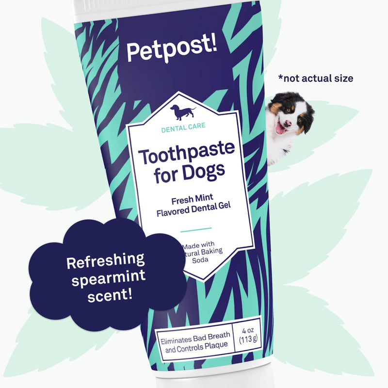 Petpost | Toothpaste for Dogs - Coconut Oil and Baking Soda Based Dental Gel That Naturally Eliminates Bad Breath - Dirt, Gunk, and Tooth Buildup Gone - Mint Flavor 4 oz. 4 Ounce (Pack of 1) - PawsPlanet Australia