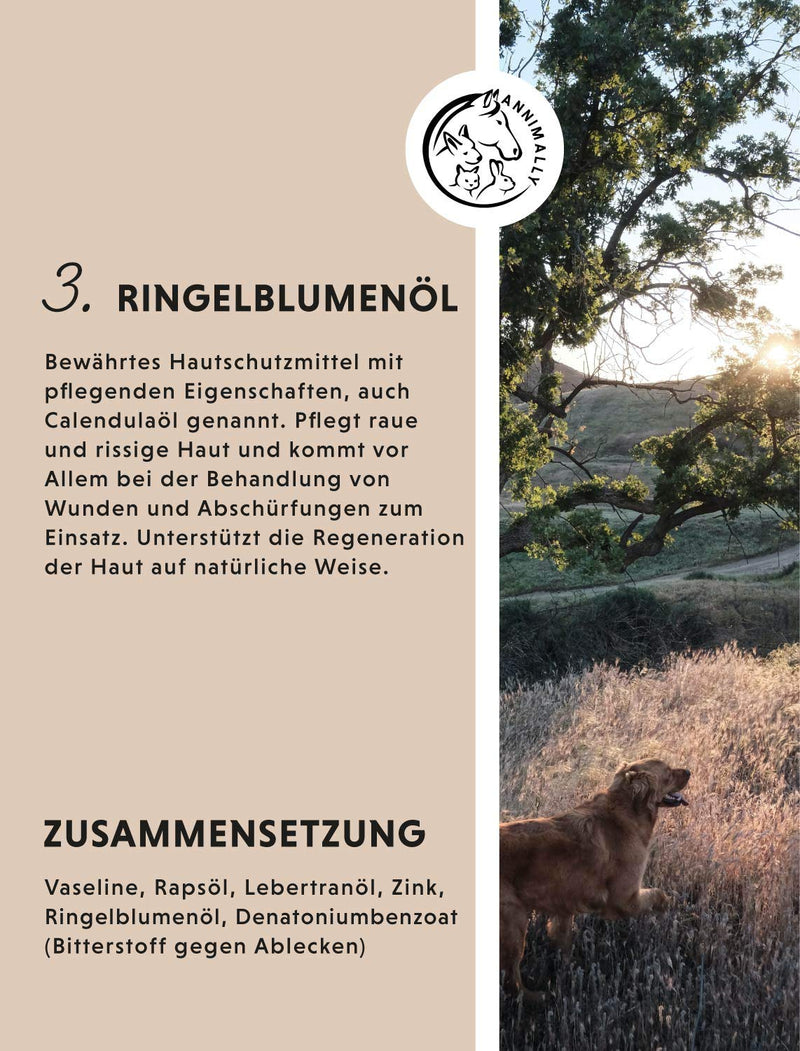 Dog cod liver oil zinc ointment 50g I wound ointment for injuries, eczema and calluses - balm for dogs, cats, horses and small animals with zinc, cod liver oil and marigold oil - BeesActive Australia
