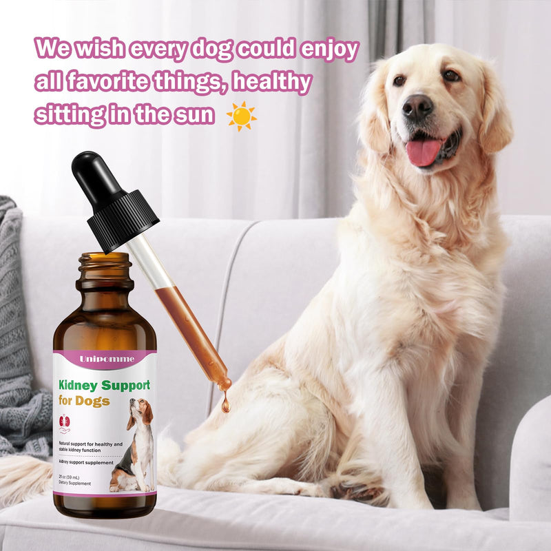 Kidney Support Supplement for Dogs - Supports Kidney Function Health in Dog - Natural Herbal Drops 2 oz - Improve Blood in Urine, Lack of Appetite, Weight Loss, Excessive Drinking, Lethargy, Dull Coat - PawsPlanet Australia