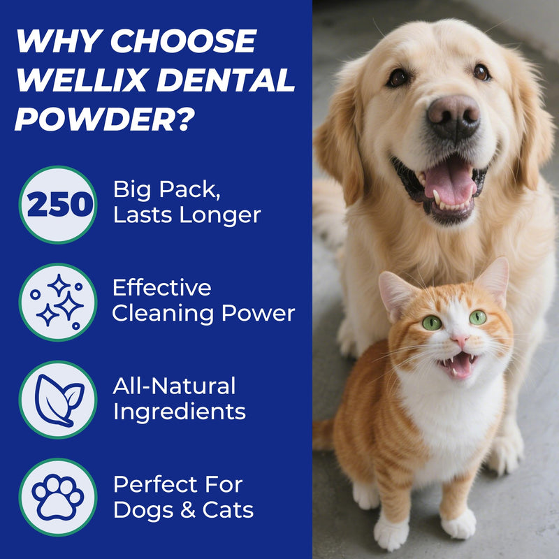 Wellix 250g Dog Teeth Cleaning Powder - Dog Dental Care Powder and Cat Breath Freshener - Plaque and Tartar Remover with Enzymes & Mint for Dogs & Cats of All ages and Breeds