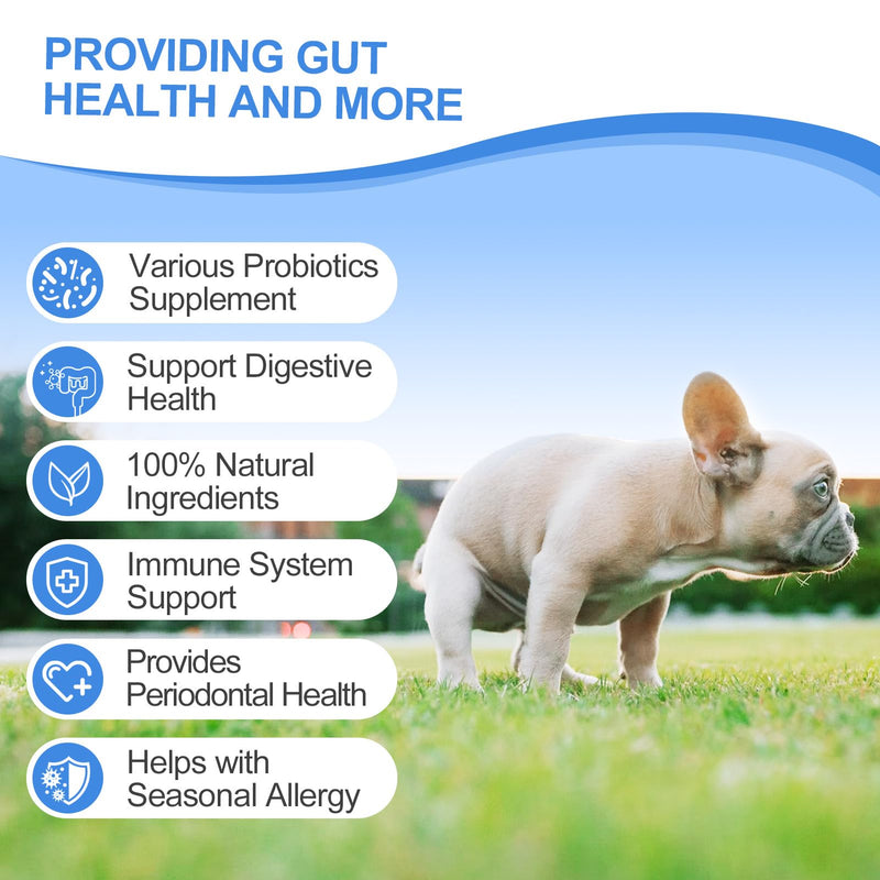 Probiotics for Dogs Gut Digestive Health Probiotic Chews for Dogs with 11 Billion CFUs, 4 Prebiotics, Pumpkin, Salmon Oil & Yogurt Base| Supports Gas, Yeast Balance & Immune, Dog Probiotics 200ct 0.06 Ounce (Pack of 200)