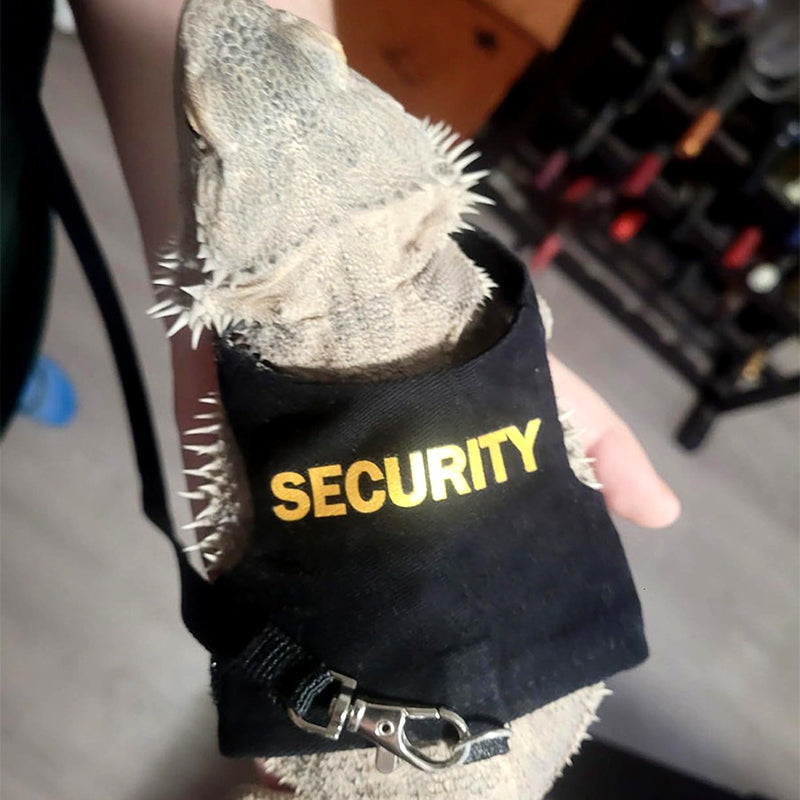 CoguZed Bearded Dragon Harness and Leash Set, Escape Proof Adjustable Lizard Leash and Reptile Harness for Walking, Cute Outfits for Bearded Dragon Costumes - BeesActive Australia