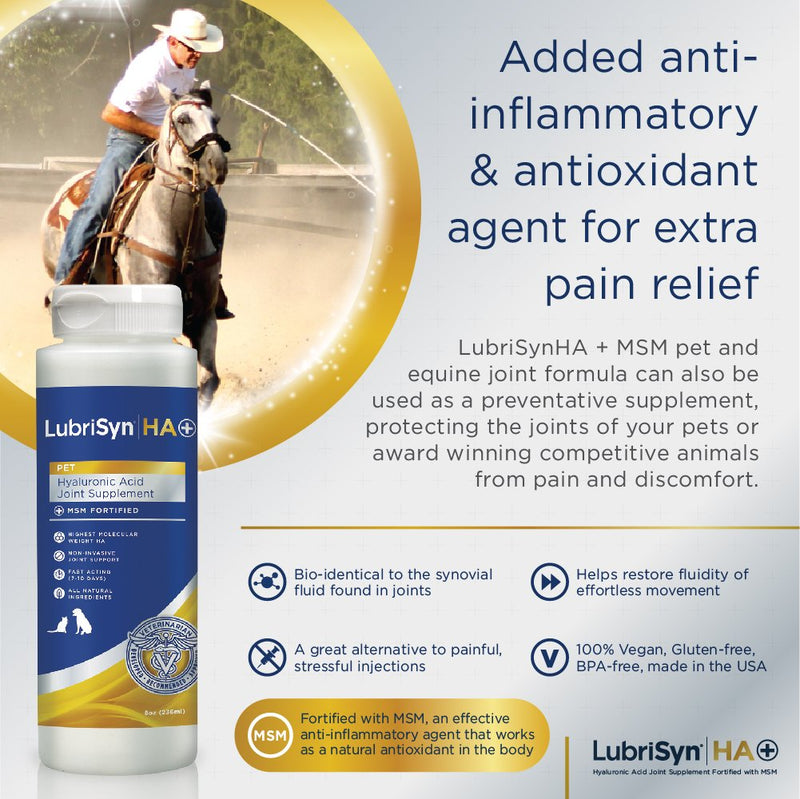 Lubrisyn Hyaluronic Acid + MSM Joints Supplement, 8oz: Natural Pure HA Liquid Dog and Cat Joint & Cartilage Support, Relief and Lubrication for Pets Including Dogs, Cats and Horses, Vegan Formula - BeesActive Australia