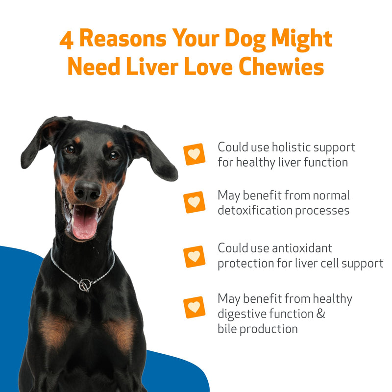 Pet Wellbeing Liver Love Chewies for Dogs - Veterinarian-Formulated - Supports Healthy Liver Function, Detoxification, Antioxidant Protection, Milk Thistle, Artichoke, Jujube, Beets - 90 Soft Chews