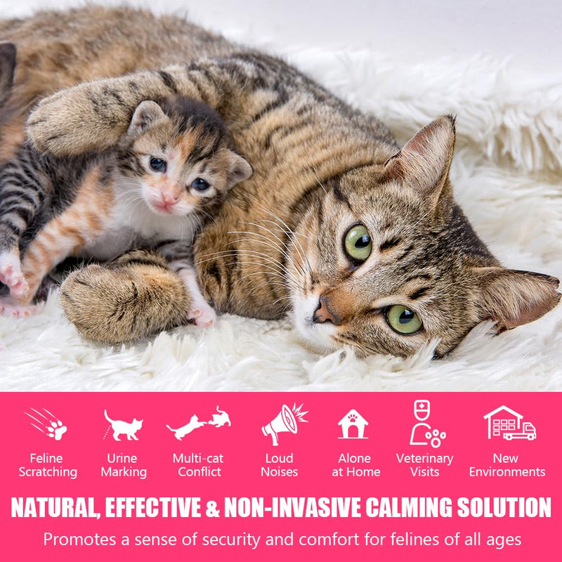 OSDUE Cat Calming Plug In Refiils, 3 Pack Pheromone Diffuser Refiils for Cats Relaxation, Anxiety Relief & Stress Relief, Calming Diffuser Refiil Kit for Cat, 90 Days 3 Refill