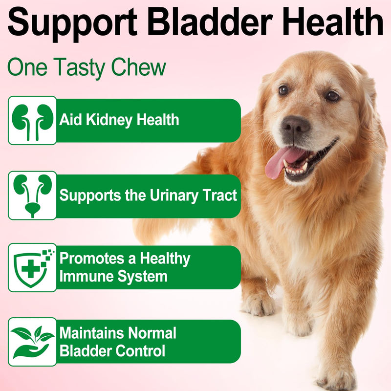 Dog Uti Treatment, Dog Urinary Tract Infection Treatment, Urinary Tract for Dogs with Cranberry Extract 60ML