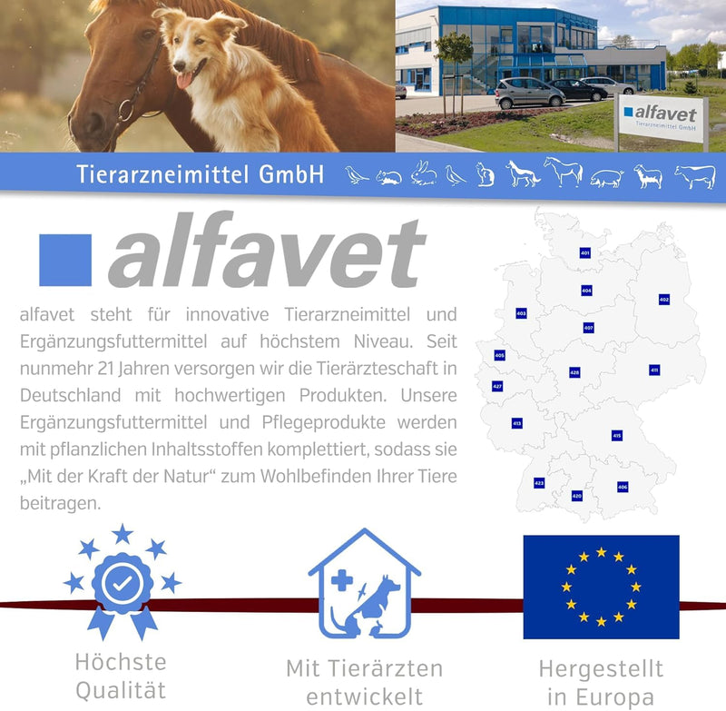 alfavet, ReConvales Päppelpaste, pack of 3, salmon cream, supplementary food for cats and dogs, 3 x 75g tube - BeesActive Australia