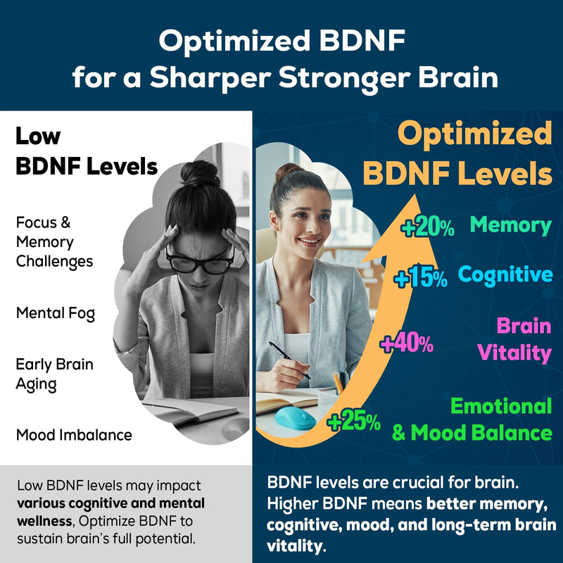 Nootropic Brain Supplement for Memory and Focus ‚Äì BDNF Optimizer ‚Äì Cognitive, Mental Clarity & Mood ‚Äì High Absorption ‚Äì Organic Lion's Mane, L-Theanine, Ginkgo Biloba & Alpha GPC‚Äì60 Tablets (2 Bottle) 60 Count (Pack of 2)
