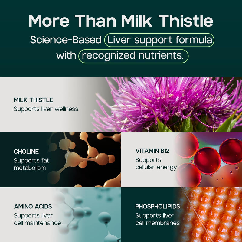 LIVERITE Liver Aid with Milk Thistle 60 Capsules, Liver Support Supplement with Amino Acids, Choline, Milk Thistle & Vitamin B12 – Supports Healthy Liver Function, Energy & Metabolism 60 Count (Pack of 1)