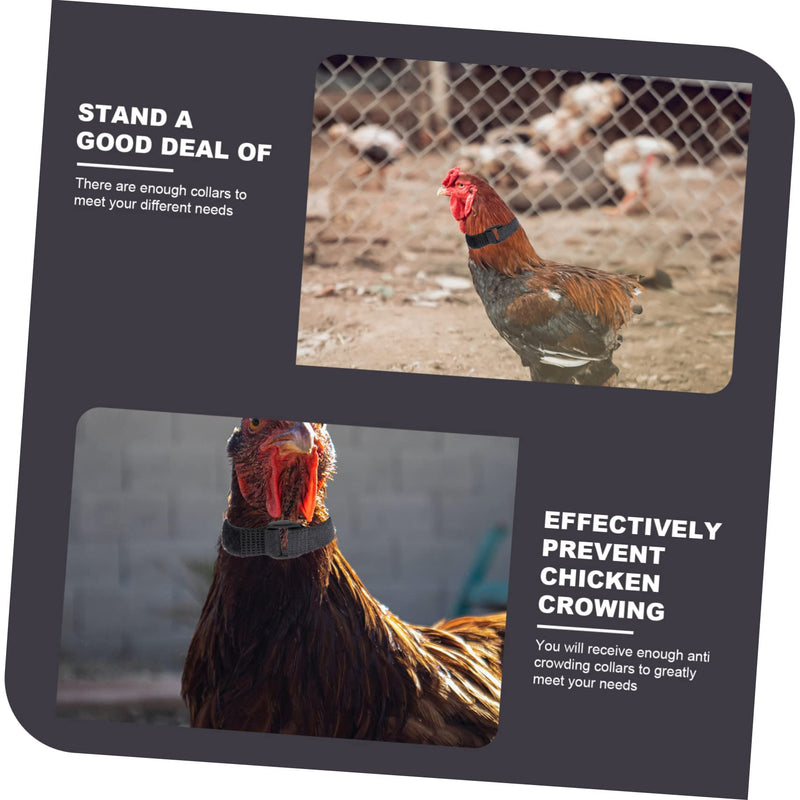 4pcs Neck Pet Collar Nylon Chicken Collar Rooster Neck Collar No Crow Rooster Band -Noise Collars Nylon Roosters Collars Noise Rooster Collar Poultry 2 Pack - BeesActive Australia