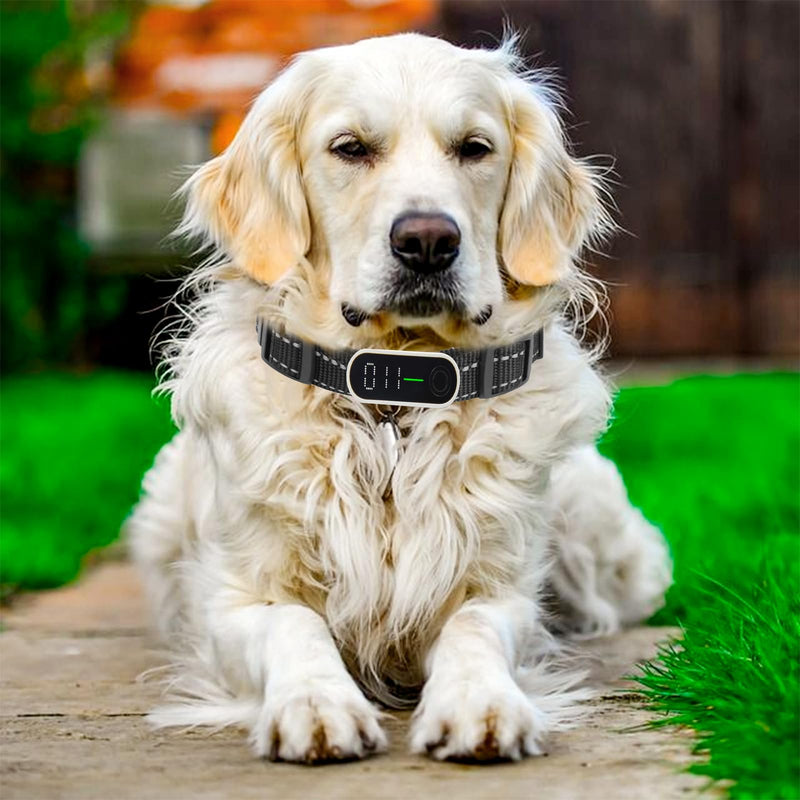 2 Pack Collar Strap Reflective Heavy Duty Replacement Collar for Electronic Fence Training Barking Collar GPS Tracker, Collar Replacement Strap for Most Dog Training Collar Receivers - BeesActive Australia