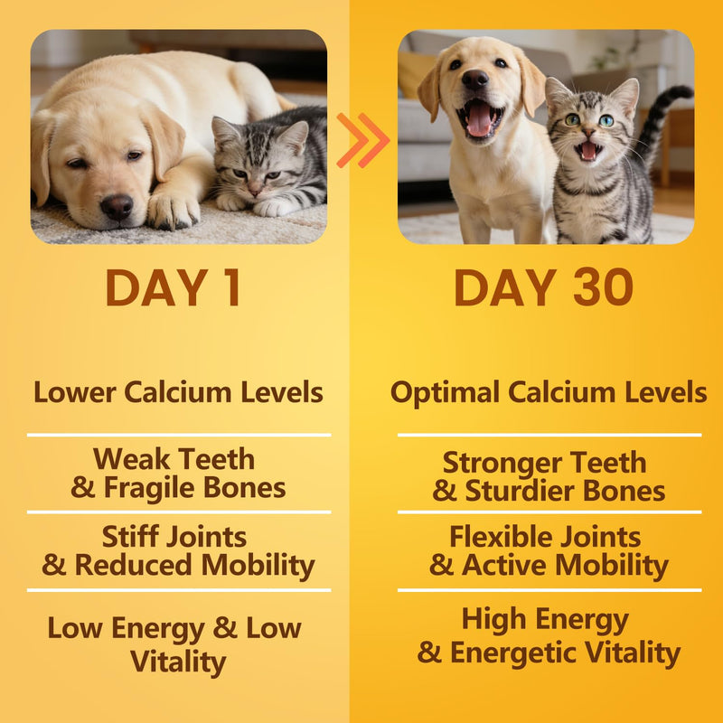 Eggshell Powder for Dogs & Cats Finely Ground Dog Calcium Supplement No Additives Crushed Calcium for Puppies Supports Bones, Teeth, Hips, Joints & Mobility Made in USA 200 Grams