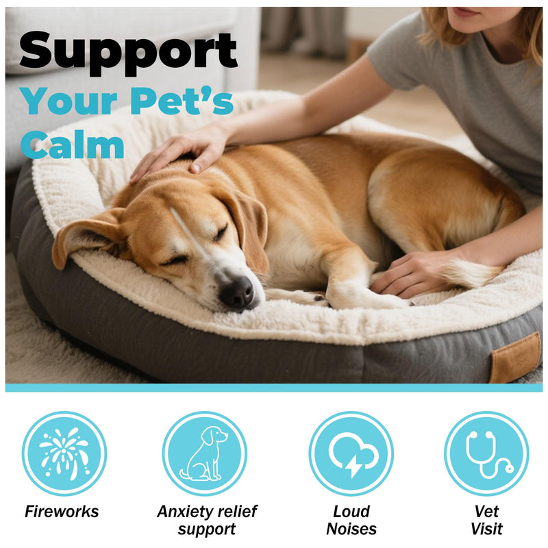 Dog Calming Capsule Calming Support Supplement for Small Dogs and Cats, Helps Promote Relaxation and Reduce External Stress Factors, Daily Behavioral Support and Anxiety Relief for Dogs and Cats, 75mg