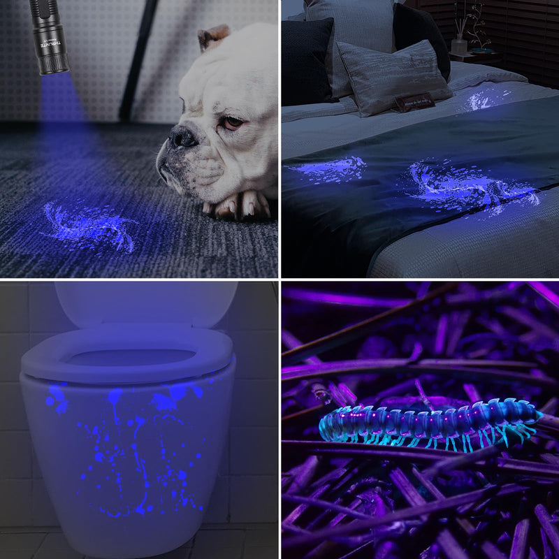 ThruNite Archer UV Flashlight 365nm Mini Black Light for Pet Urine Detection, Cat/Dog urine detector, Pet Stains and Bed Bug, Hunting Scorpions