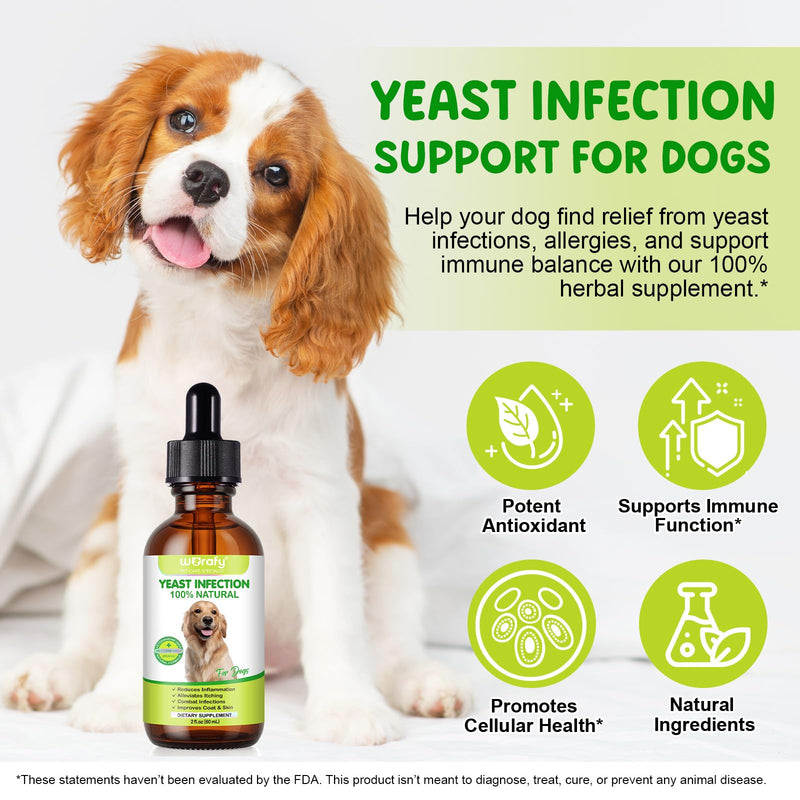 Natural Yeast Infection Drops for Dogs - Ear & Skin Support for Itch Relief, Allergy & Paw Licking Relief, Supports Healthy Skin & Coat - Vet-Recommended Formula (60ml)