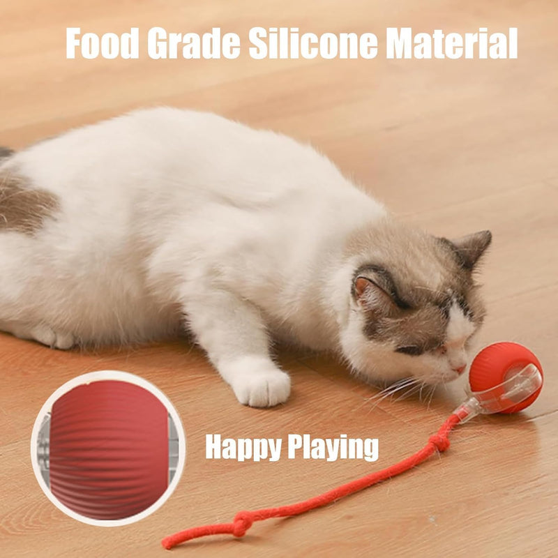 Interactive Cat Toys Rolling Ball, Chewie Viral Rolling Ball, Electric Dog Ball Toy, 360° Smart Automatic Cat Ball Toys for Bored Indoor Cats, Suitable for Large and Small Dogs and Cats - BeesActive Australia