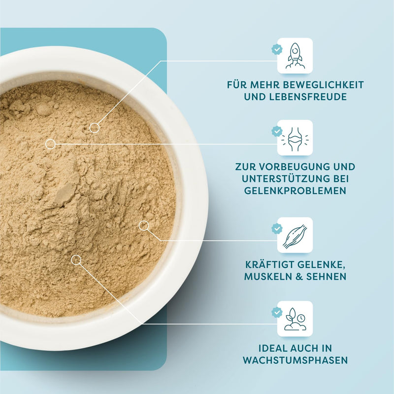 Dr. SAM Premium Joint Powder for Cats - Joint Wonder Superfood Combination made from Green Lipped Mussel - Movement Powder for Strong Joints and Muscles - 100% Natural - Agility Powder Cat - High Dose Cat - BeesActive Australia