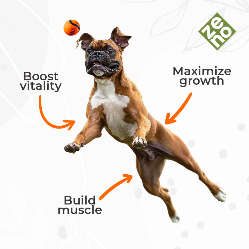 ZENO 11-in-1 Muscle Gain Chews - Weight Gain Supplements for Dogs with High Protein & Amino Acids - Premium Muscle Builder for Bully & All Breeds - Healthy for Puppies - 150 Chews - Beef