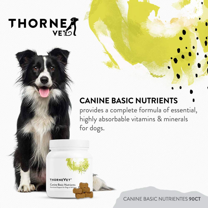 ThorneVet Curcuvet SA 150 and Canine Basic Nutrients Soft Chews Bundle