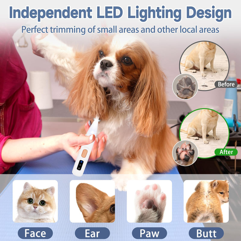 Paw Trimmer for Dogs, Dog Clipper Quiet, Dog Paw Trimmer with LED Light, Dog Hair Clipper Claw Grinder USB Rechargeable Clipper for Dog Cat Paws White - BeesActive Australia