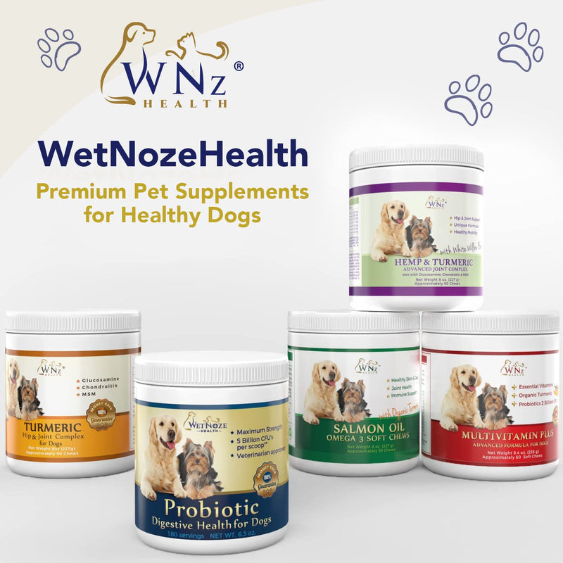 Probiotics for Dogs Digestive Health (Chicken & Bacon) - Dog Probiotic Powder Relieve Diarrhea, Constipation, & More - Dog Calming Treats – Maximum-Strength Dog Digestive Support - PawsPlanet Australia
