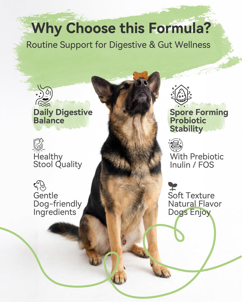 Probiotics & Prebiotics Soft Chews for Dogs – Daily Gut & Digestive Support, Spore-Forming Probiotic with Multi-Strain Lactobacillus, Prebiotic Inulin/FOS, Chicken Flavor, 120 Chews