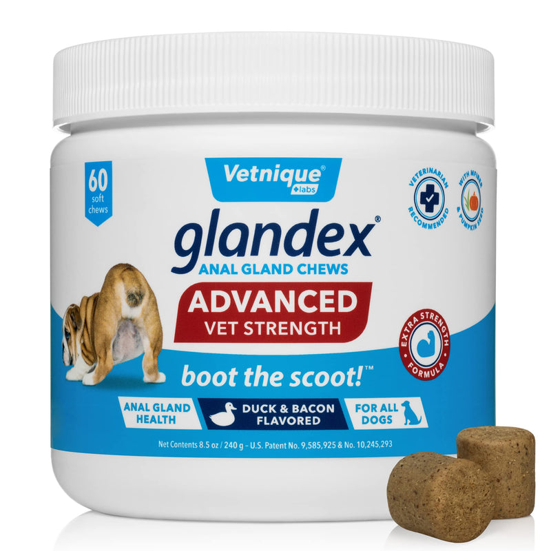 Glandex Anal Gland Medicated Spray for Dogs & Cats (4oz) and Advanced Vet-Strength Chews 60 Ct Bundle, Dog Deodorizing Spray & Anti-Itch Spray for Dogs, Anal Gland Supplement for Dogs with Extra Fiber - PawsPlanet Australia