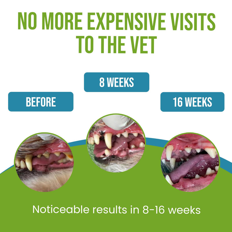 Caniclean Seaweed for Dogs Teeth - Dog Tartar Removal Tool, Plaque Remover, and Breath Freshener - Get Plaque Off Dogs Teeth Naturally. 14oz/396g. - PawsPlanet Australia