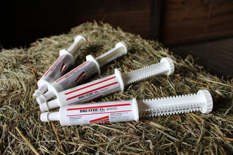 Breathe O'2 4 -Pack (8 doses) Pre-Race Paste to Support Lung/Airway Function in Horses - BeesActive Australia