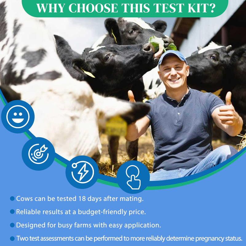 2 Pack Cow Pregnancy Test Kit for Home & Small Farms: Painless Urine Test, Fast 5-10 Min Results, Easy to Use, Safe & Accurate Early Detection, Reliable Solutions for Bovine Pregnancy Detection White - BeesActive Australia