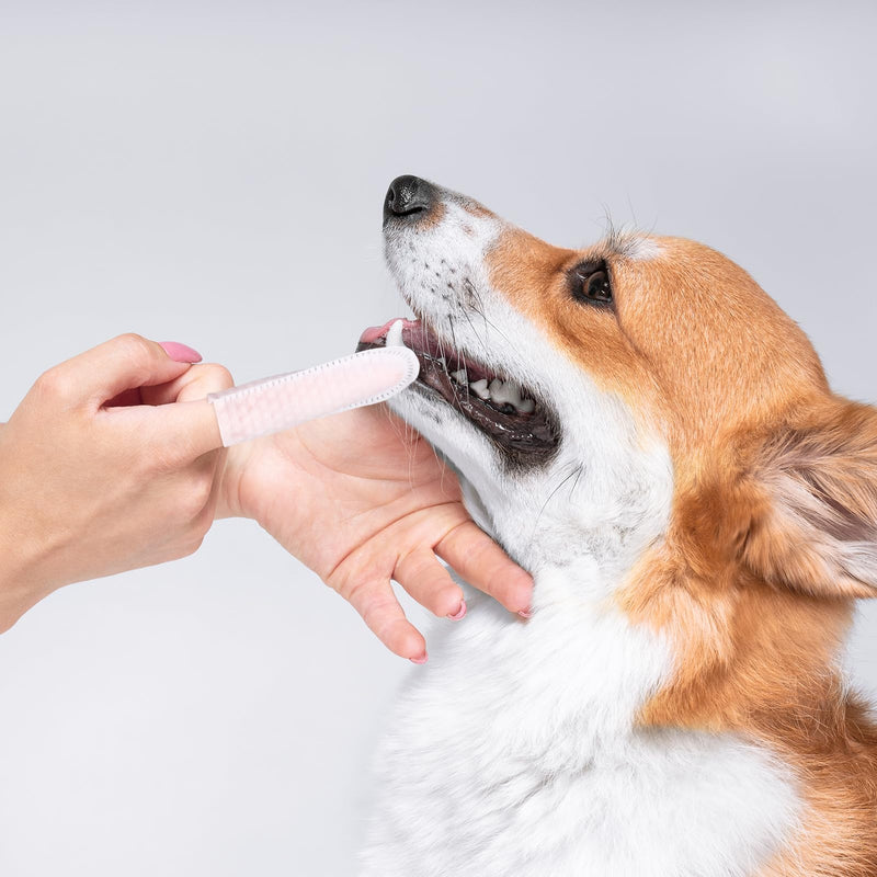 taonganui 3 cans of 150 ear cleaners, ear care finger pads for dogs and cats, ear wipes, ear cleaners, dog dental care finger pads, ear finger wipes for dogs and cats, care and hygiene - BeesActive Australia